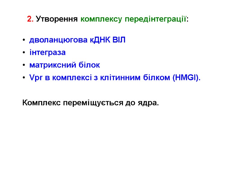 2. Утворення комплексу передінтеграції:  дволанцюгова кДНК ВІЛ інтеграза матриксний білок Vpr в комплексі